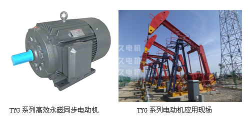 TYG高效永磁同步電機(jī)